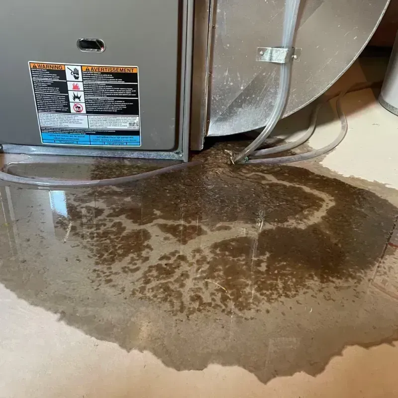 Appliance Leak Cleanup in Kingston, IL